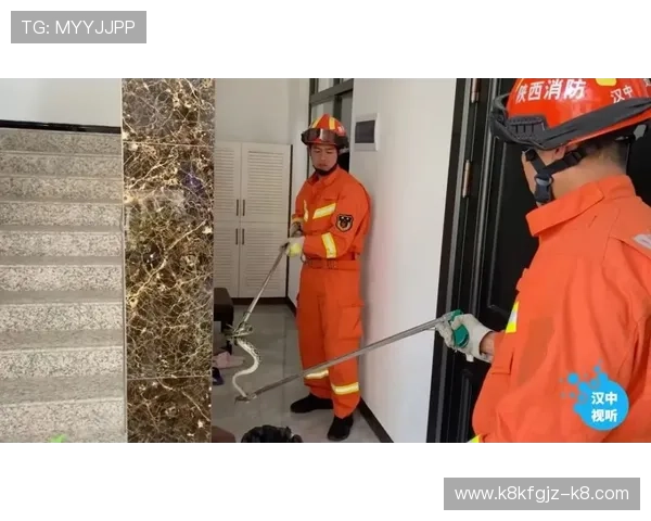 凯发PA电子游艺平台最新玩法介绍与安全保障措施详解