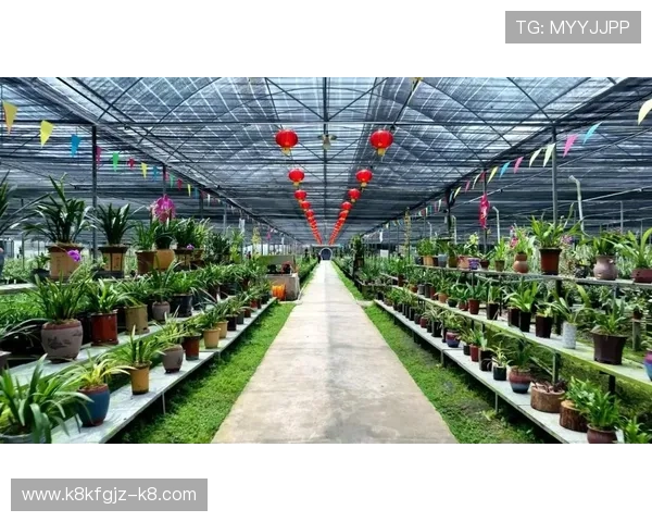 凯发体育网球运动员最新资讯,关注明星选手动态掌握行业发展新风向 凯发体育网球运动员最新资讯,关注明星选手动态掌握行业发展新风向