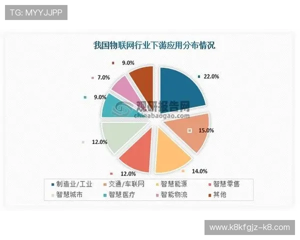凯发闪电 21 点：闪电21点的历史发展与未来趋势，行业专家深度解读与预测